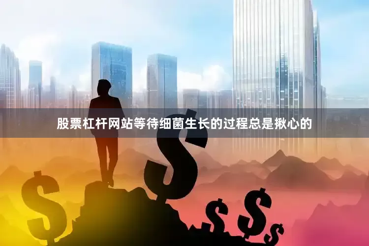 股票杠杆网站等待细菌生长的过程总是揪心的
