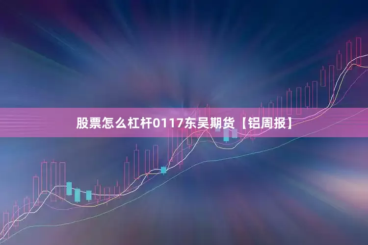股票怎么杠杆0117东吴期货【铝周报】