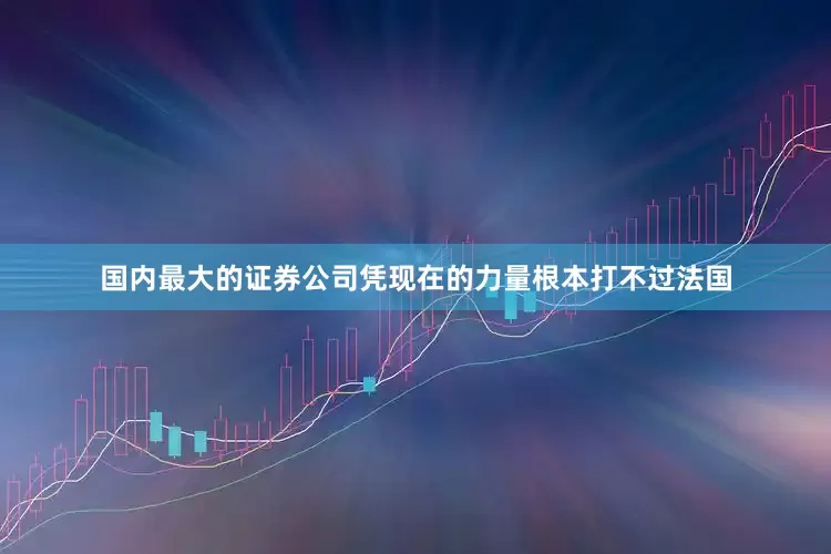 国内最大的证券公司凭现在的力量根本打不过法国