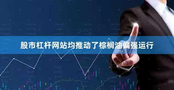 股市杠杆网站均推动了棕榈油偏强运行