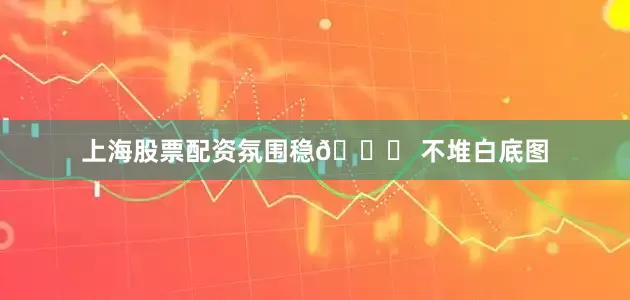 上海股票配资氛围稳📌 不堆白底图