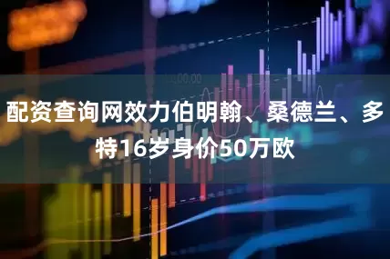 配资查询网效力伯明翰、桑德兰、多特16岁身价50万欧