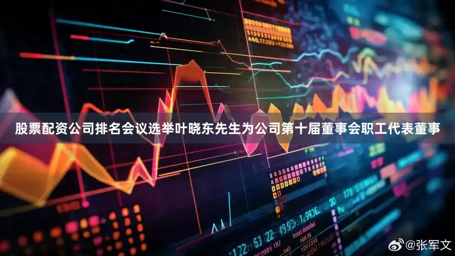 股票配资公司排名会议选举叶晓东先生为公司第十届董事会职工代表董事