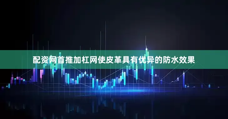 配资网首推加杠网使皮革具有优异的防水效果